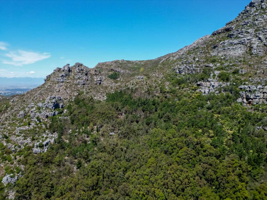 Commercial Property for Sale in Hout Bay Western Cape